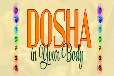 Discovering Doshas in Ayurveda: A Guide to Balance and Well-being