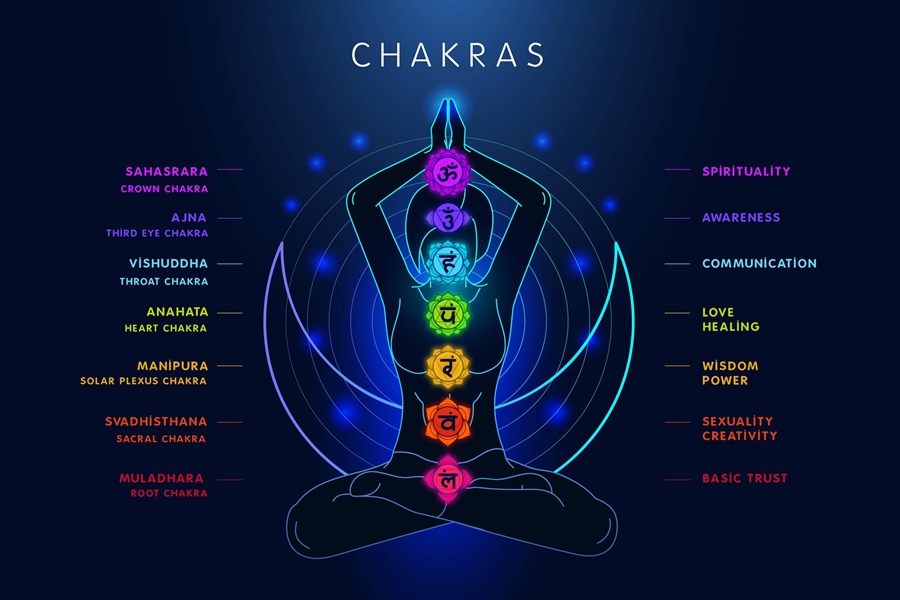 The Natural Ayurved: A Journey To Balance Seven Chakra's
