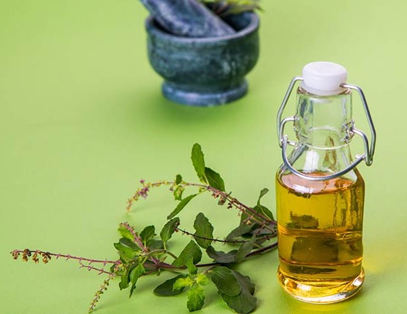 Jatyadi Tailam (Traditional Ayurvedic Blend)