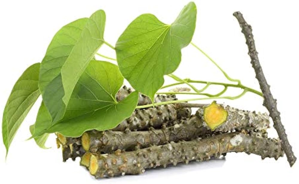 Tinospora-cordifolia