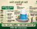Buy Ayurvedic Piles Medicine Online